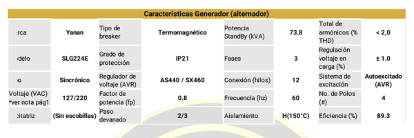 Planta eléctrica Enermax GDC75SS-YN 75 kVA - Imagen 3